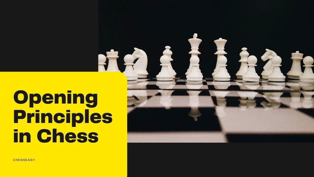 Opening Principles in Chess