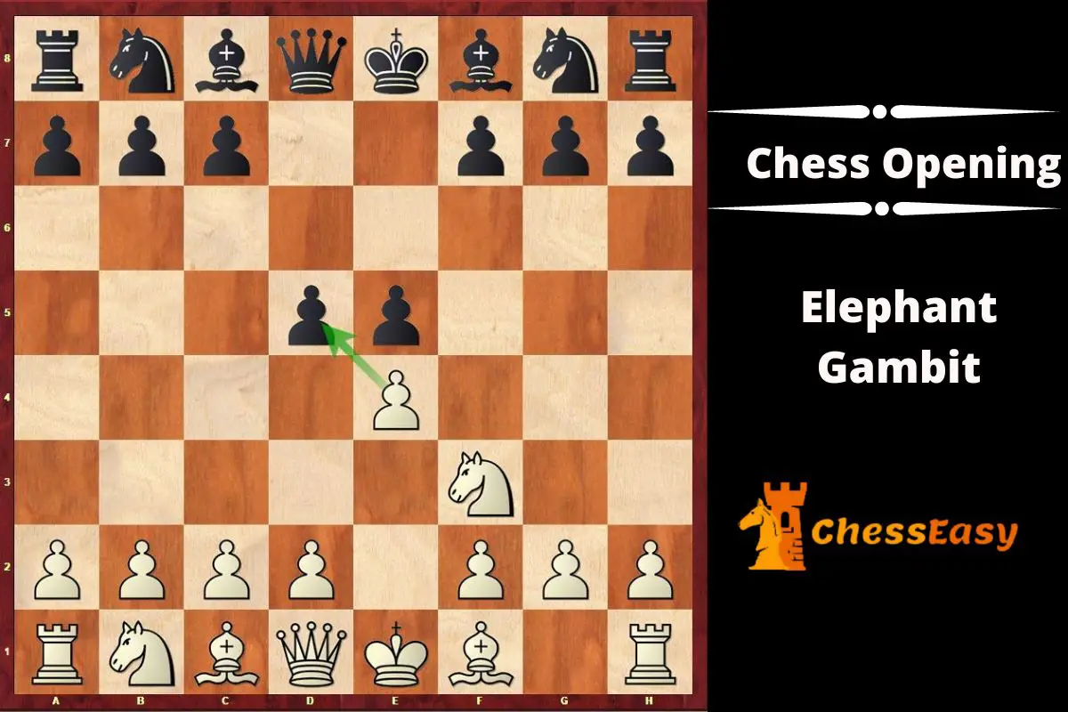 elephant gambit chess opening