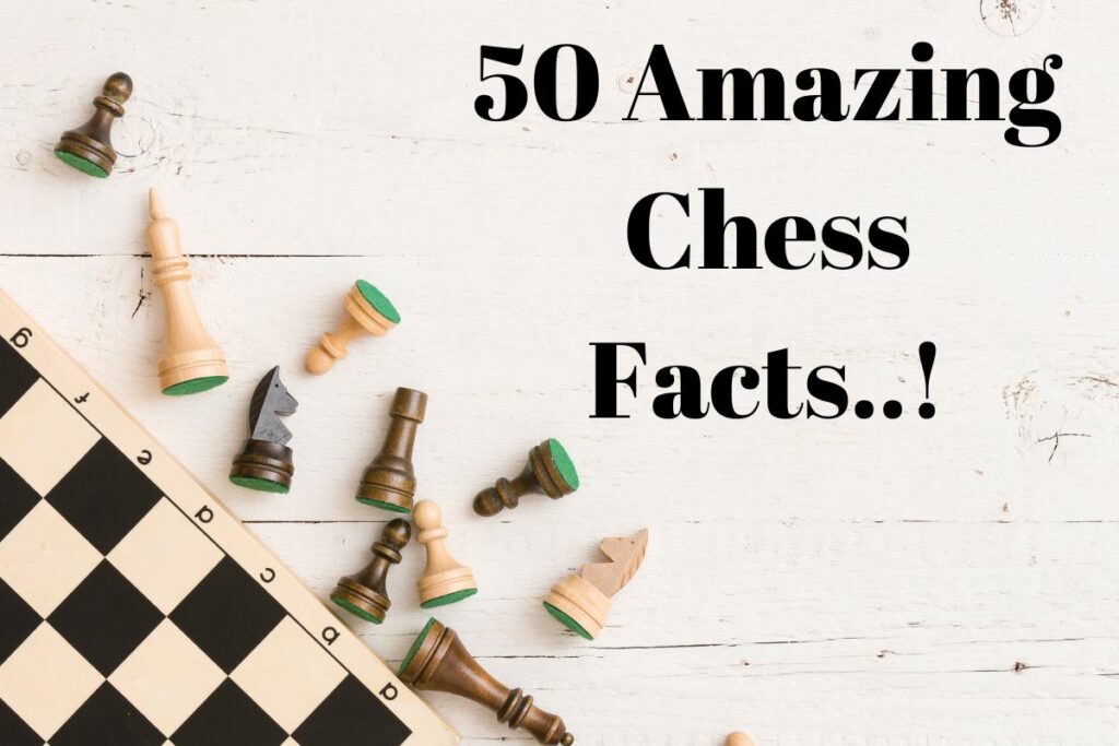 Amazing Facts Daily  Fun facts, Funny facts, Chess boxing