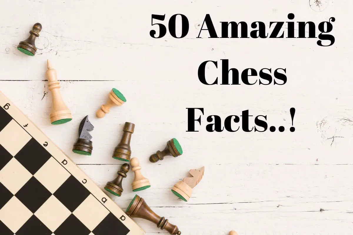Top 30 Shocking facts about chess (with pictures) – Gamex Cart